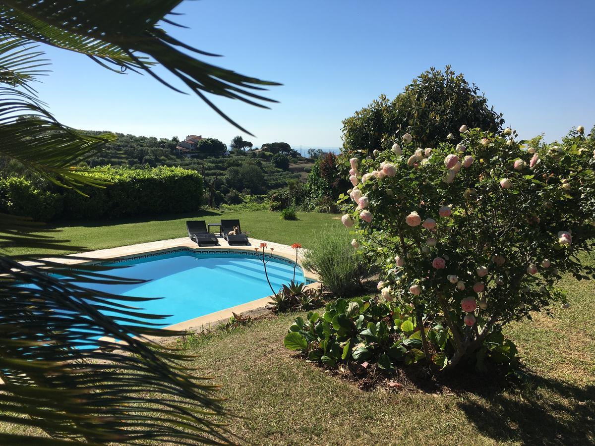 Villa Antoline Cagnes-sur-Mer Exterior photo